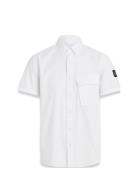 Scale Short Sleeve Shirt White Belstaff
