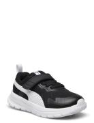 Puma Evolve Run Mesh Ac+ Inf Black PUMA