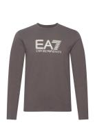 T-Shirt Grey EA7