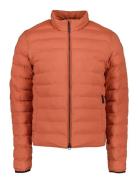 Arvid Usx Jkt Orange Didriksons