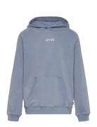 Lvb Lived-In Hoodie / Lvb Lived-In Hoodie Blue Levi's