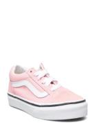 Uy Old Skool Pink VANS