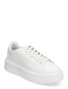 Sport White Billi Bi