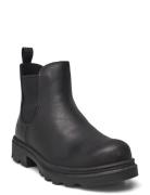 Grainer K Black ECCO