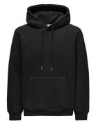 Onsemilio Reg Teddy Hoodie Sweat Vd Black ONLY & SONS