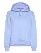 Tjw Reg Linear Hoodie Blue Tommy Jeans