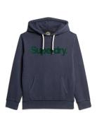 Classic Core Logo Hoodie Navy Superdry