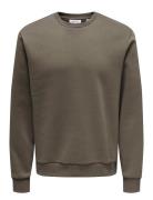 Onsceres Crew Neck Noos Brown ONLY & SONS