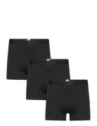 3 Pack Underwear - Gots/Vegan Black Knowledge Cotton Apparel