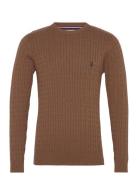 Uspa Knit Archi Men Brown U.S. Polo Assn.