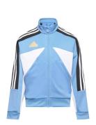 J Np Ttop Blue Adidas Sportswear