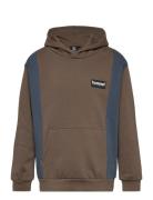 Hmlallton Hoodie Brown Hummel