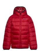 Hooded Jacket Red Champion