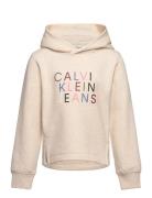 Colour Logo Fleece Hoodie Cream Calvin Klein