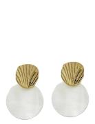 Seashell Mini Earring Gold By Jolima