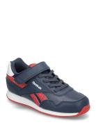 Reebok Royal Cl Jog 3.0 1V Navy Reebok Classics