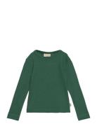 T-Shirt L/S Modal Green Petit Piao