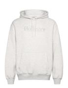 Hco. Guys Sweatshirts Grey Hollister