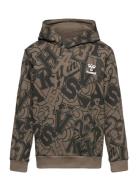 Hmlmolt Hoodie Brown Hummel