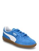 Palermo Jr Blue PUMA