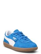 Palermo Ps Blue PUMA