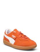 Palermo Ps Orange PUMA