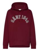 Gant 1949 Arch Hoodie Burgundy GANT