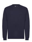 Hco. Guys Knits Navy Hollister