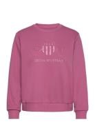 Reg Tonal Shield C-Neck Sweat Pink GANT