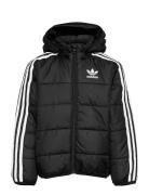 Padded Jacket Black Adidas Originals