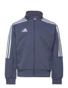 J Hot Ttop Blue Adidas Performance