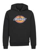 Icon Logo Hoodie Black Dickies