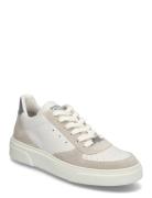 Brent Sneaker Beige Steve Madden