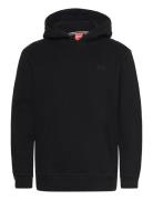 Essential Logo Hoodie Hb Black Superdry