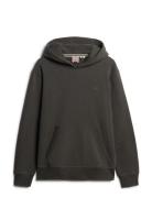 Essential Logo Hoodie Hb Black Superdry