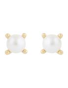 Lucy Pearl Ear G/White Gold SNÖ Of Sweden