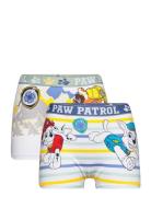 Boxer Patterned Paw Patrol