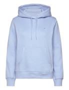 Tjw Reg S Flag Hoodie Blue Tommy Jeans