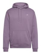 Hco. Guys Sweatshirts Purple Hollister