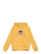 Archive Shield Raglan Hoodie Yellow GANT