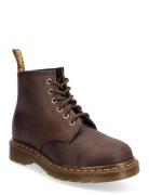 101 Dark Brown Crazy Horse Brown Dr. Martens