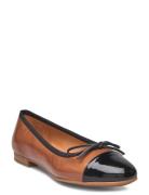 Ballerina Brown Billi Bi