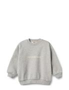 Crewneck Allo Grey Wheat