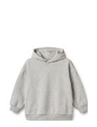 Hoodie Bonno Grey Wheat