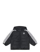 Padded Jacket Black Adidas Originals