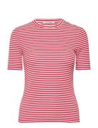 Srfenja Stripe Ss Top Red Soft Rebels