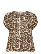 Kcami Stanley Printed Beige Kaffe Curve