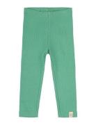 Legging Modal Green Petit Piao