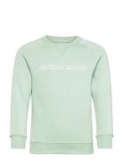 Borg Essential 3 Sweatshirt Green Björn Borg