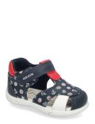 B Sandal Zapito Boy Navy GEOX